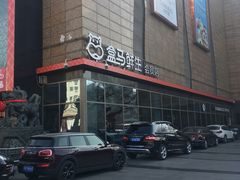 门面-盒马鲜生(大成店)