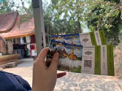 -西双版纳傣族园