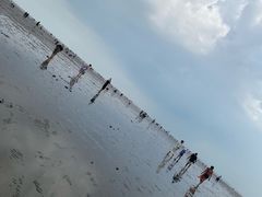 -奉贤海滩