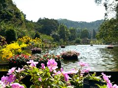 -深圳仙湖植物园