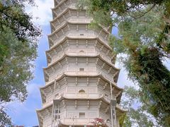 -深圳国际园林花卉博览园