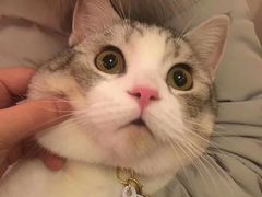 -佳麦烘焙(姚港路店)