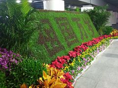 -下沉广场(羊坊店街道)