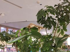 -桂满陇·蟹黄小笼汤包(中山公园店)