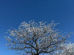 -安吉龙王山风景区