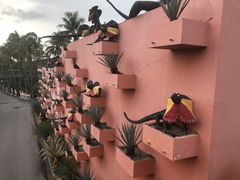 -东芭乐园