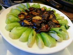 -碧丽宫大酒店(召稼楼店)