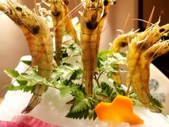 深水虾-尚海豆捞(乐虹坊店)