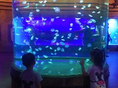 -华夏文旅海洋公园