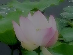 -处女泉风景名胜区