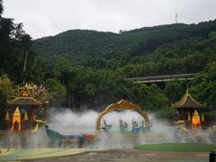 -西双版纳原始森林公园