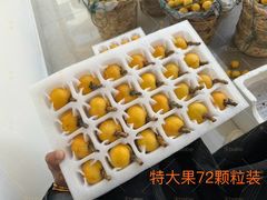 -东山风景区(洞庭东山)