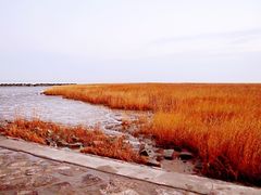 -南汇嘴观海公园