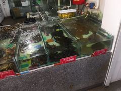 -石塘路海鲜市场(草厂中路店)
