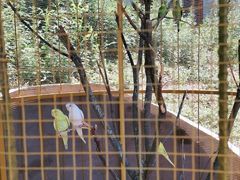 -北京鹿世界主题园