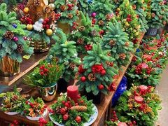 -双季花艺园艺市场(浦东店)