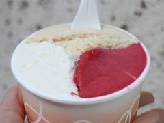 -Dip in Gelato(富民路店)