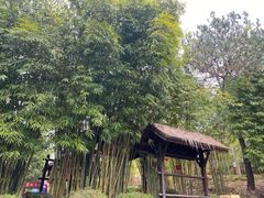 -崇阳三特浪口温泉