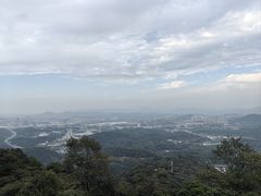 -黄埔油麻山森林公园