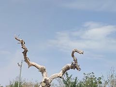 -亚洲大陆地理中心