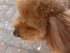 -沐沐家宠物(成寿寺店)