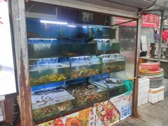 -桔子海鲜烧烤大排档(台东店)