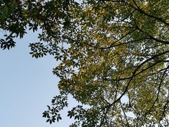 -晓港公园