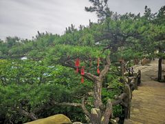 -罗田天堂寨风景区