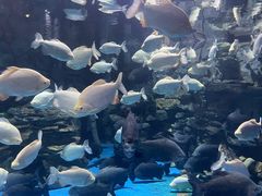 -多彩贵州城极地海洋世界