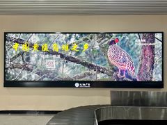 -福州长乐国际机场