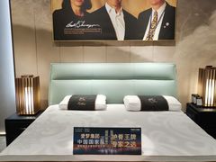 -KINGKOIL金可儿床垫(北五环红星美凯龙店)