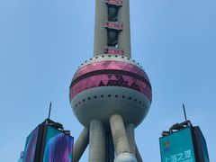 -上海海洋水族馆