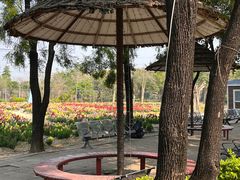 -广东花都香草世界旅游度假区