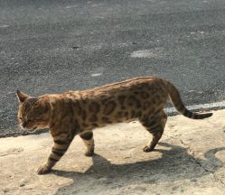 -莫莉幻想儿童乐园(北京丰台永旺店)