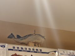 -镹·鱼料理  国产鱼使用店