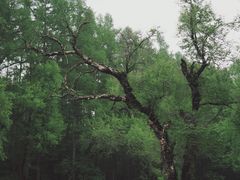 -长春净月潭风景名胜区