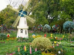 -上海共青森林公园