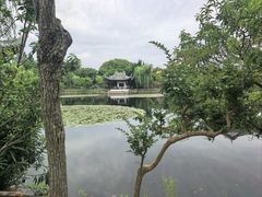 -无锡蠡湖国家湿地公园-蠡园