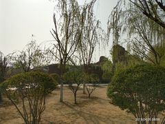 -临沂动植物园