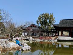 -上海滨江森林公园