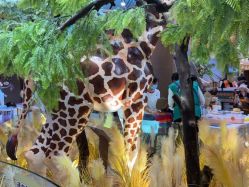 -卡通尼·Safari非洲探索乐园·生日会(金桥国际商业广场店)