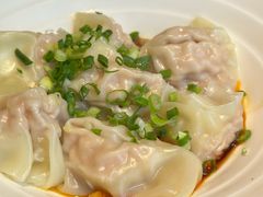 -龙抄手食府(浣花北路店)