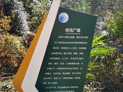 -南京老山国家森林公园