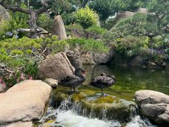 -罗红摄影艺术馆