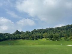 -羊山湖公园