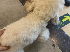 -宠颐生汉谟拉比宠物医院