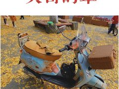 -成都市活水公园