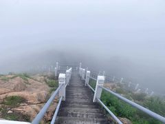 -石老人观光园