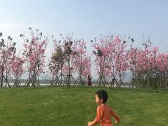 -福建鲤鱼洲酒店