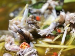 -香坝坝鲜鱼火锅(春熙路店)